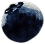 berry1.png