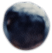 berry5.png