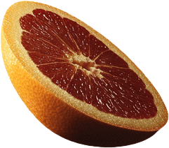citrus1.png
