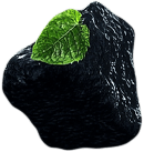 mint2.png
