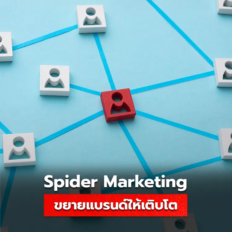 รู็จักกับ Spider Marketing การขยายแบรนด์ให้เติบโตได้หลายช่องทาง